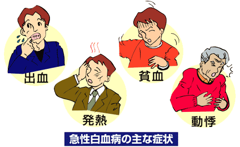 急性白血病の主な症状
