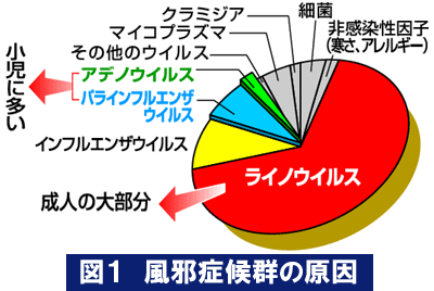 風邪症候群の原因
