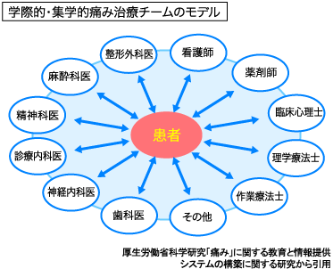 学際的・集学的痛み治療チームのモデル